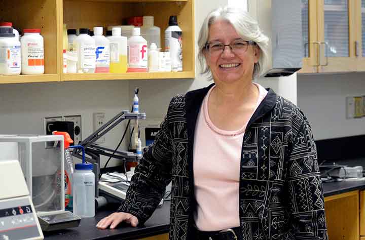 Faculty Holly L Boettger Tong in lab