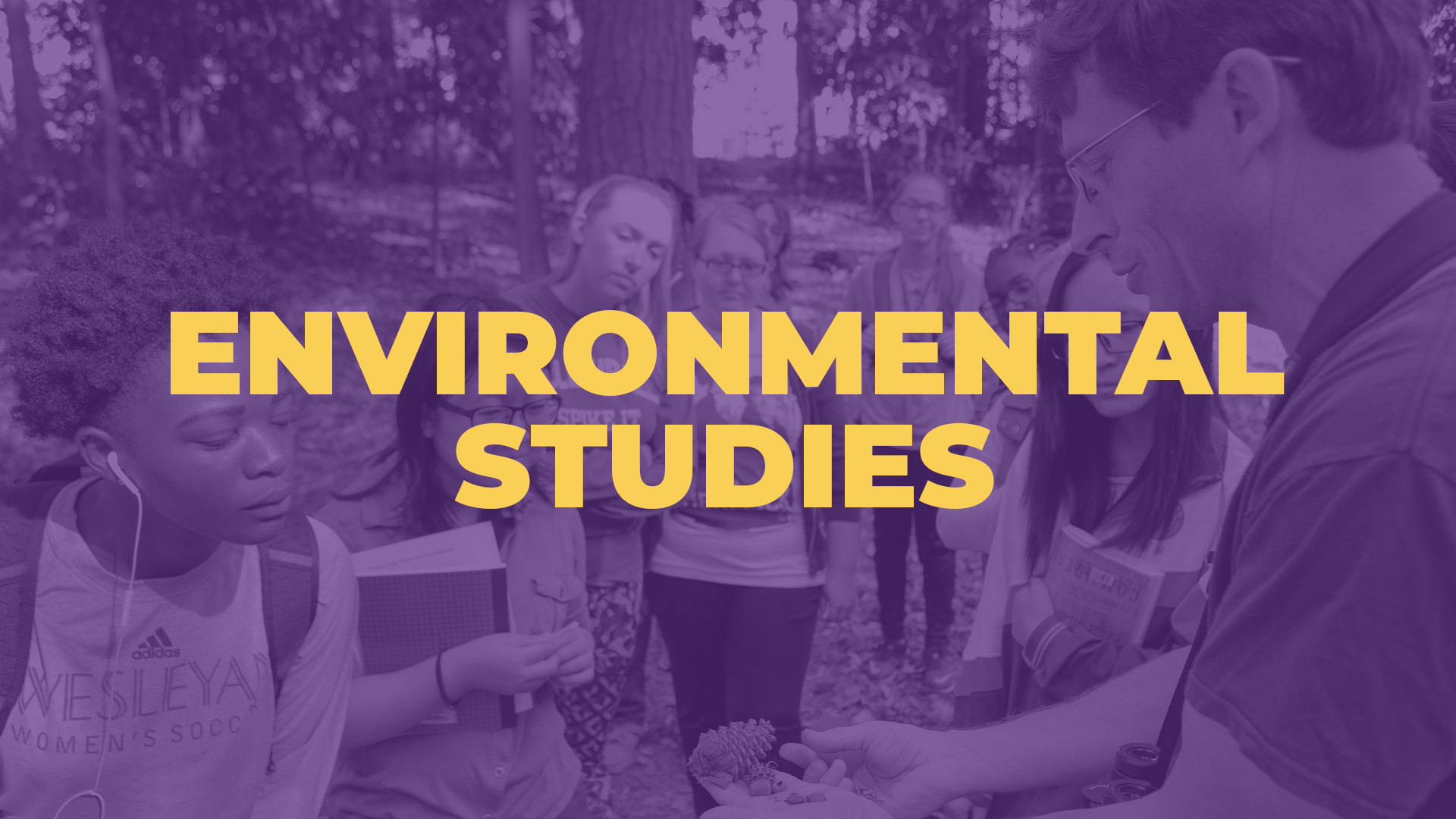 Students in nature studying with professor